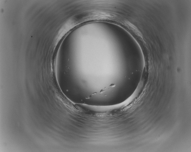 X0000069391226200605150935