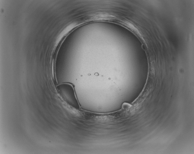 X0000069391227200605150935