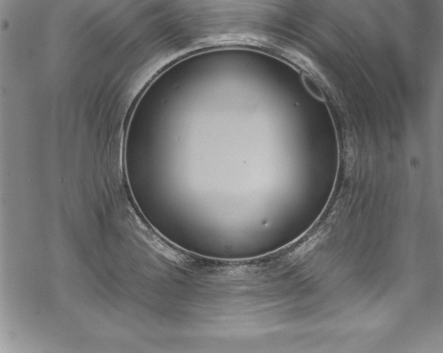 X0000069391228200605150935