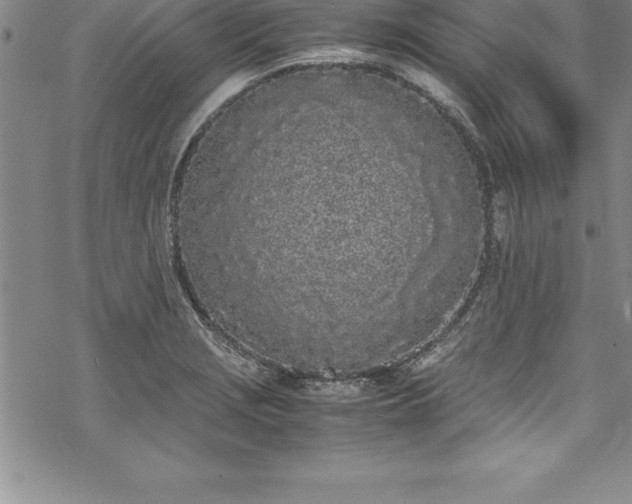 X0000069391229200605150935