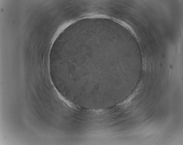 X0000069391231200605150935