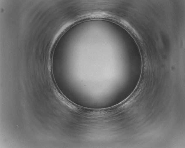 X0000069391232200605150935