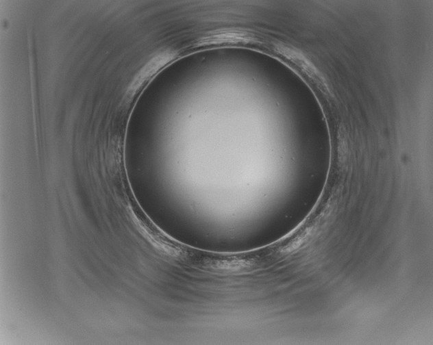 X0000069391233200605150935