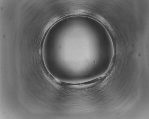 X0000069391234200605150935