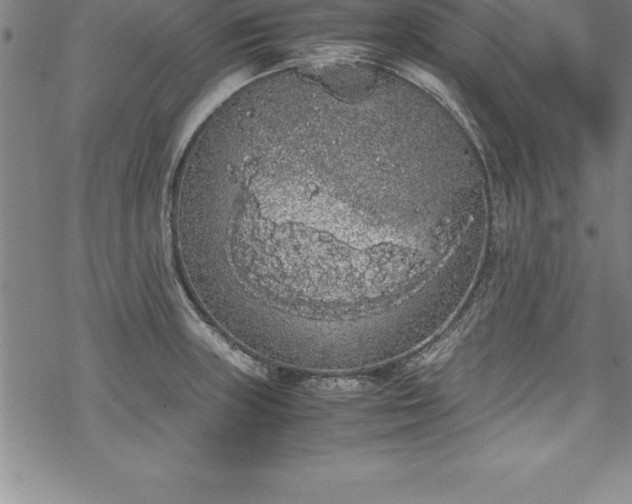 X0000069391235200605150935