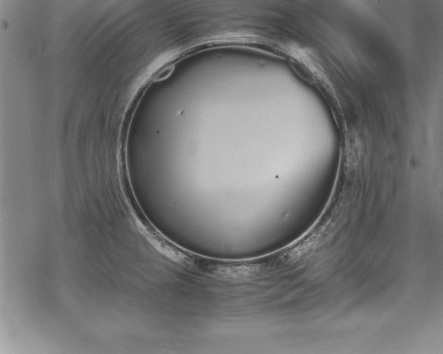 X0000069391237200605150935