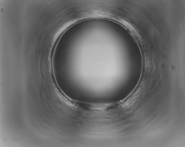 X0000069391238200605150935