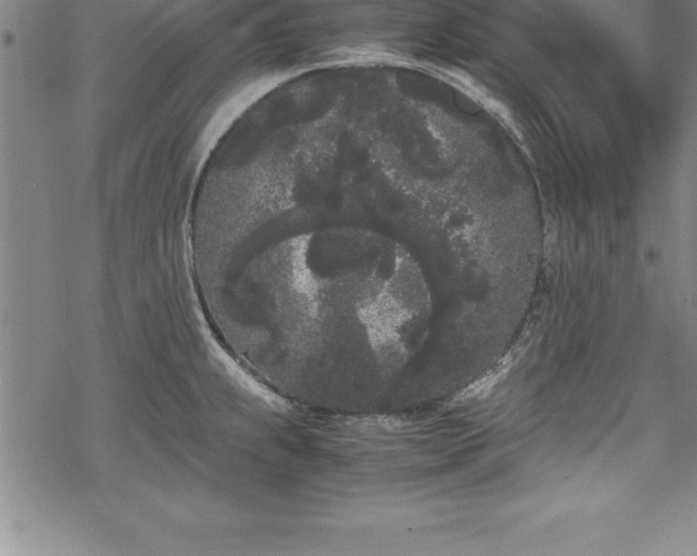 X0000069391239200605150935