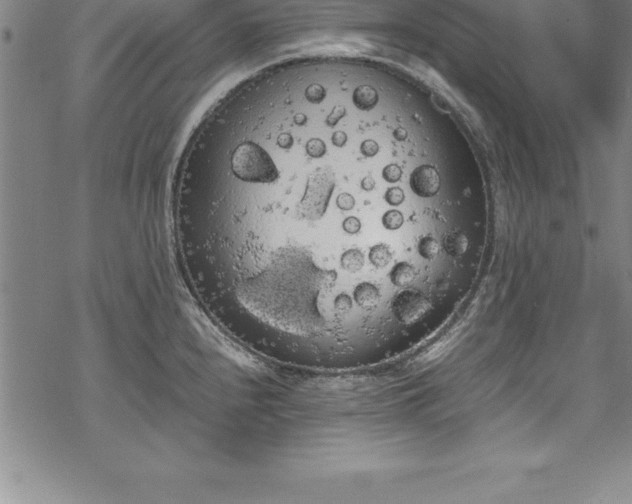 X0000069391240200605150935