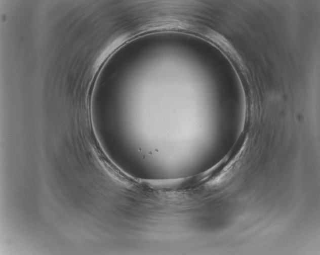 X0000069391242200605150935