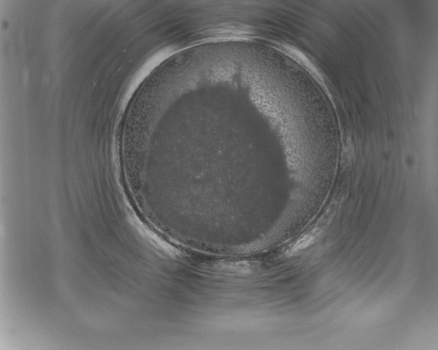 X0000069391243200605150935