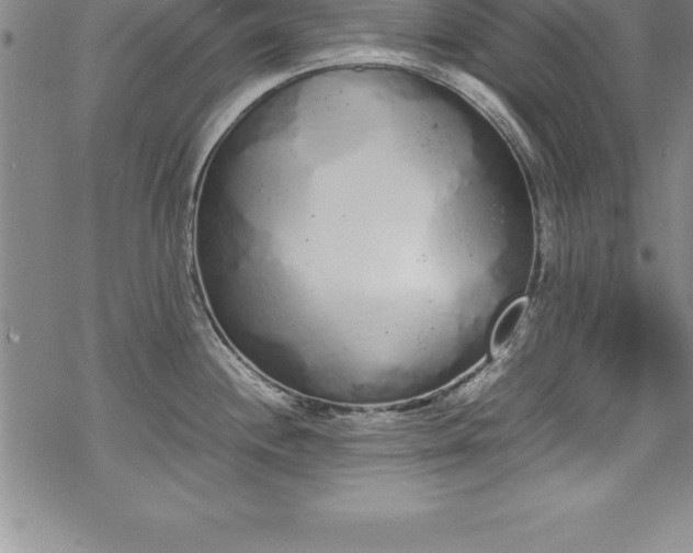 X0000069391244200605150935