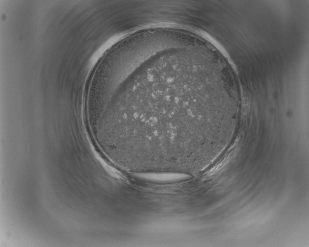 X0000069391245200605150935