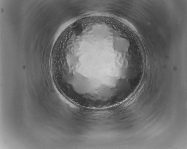 X0000069391247200605150935