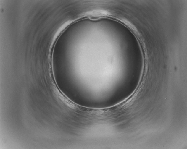 X0000069391248200605150935