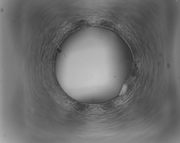 X0000069391249200605150934