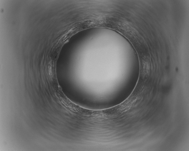 X0000069391250200605150934