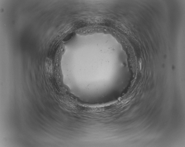 X0000069391251200605150934