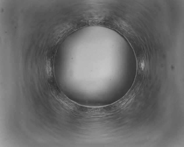 X0000069391252200605150934