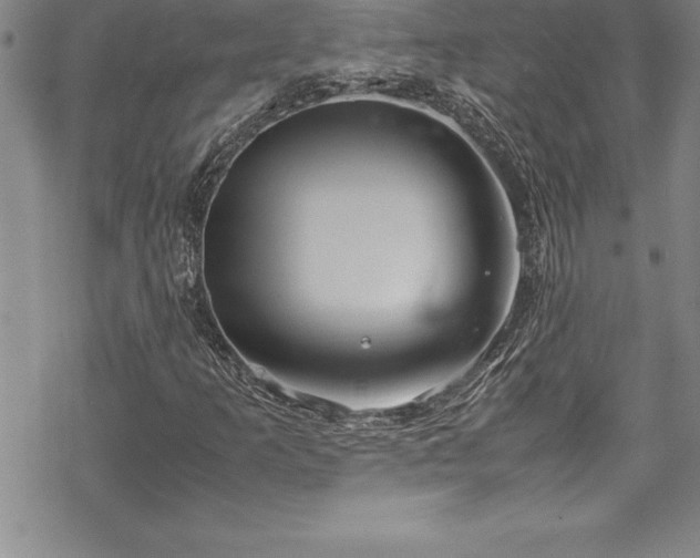 X0000069391253200605150934