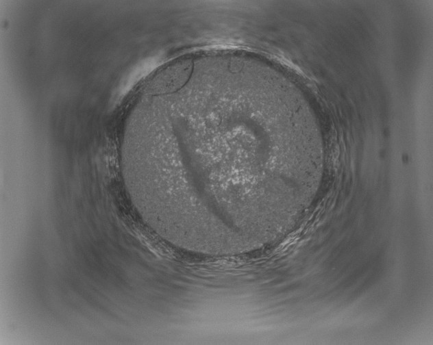 X0000069391255200605150934