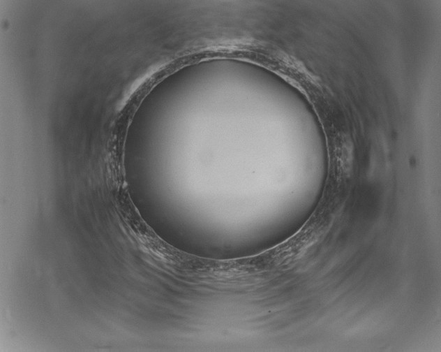 X0000069391256200605150934