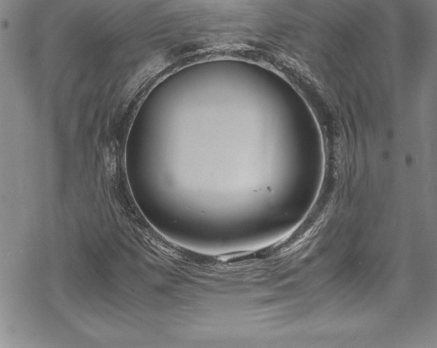 X0000069391257200605150934