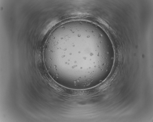 X0000069391259200605150934