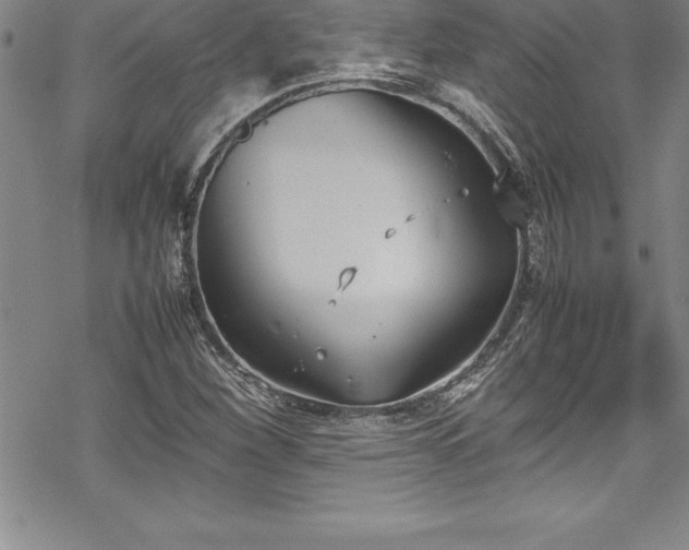 X0000069391260200605150934