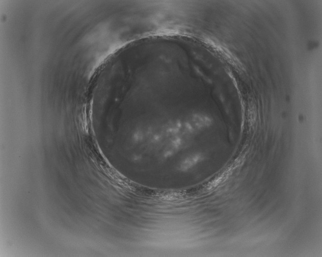 X0000069391262200605150934