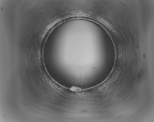 X0000069391264200605150934