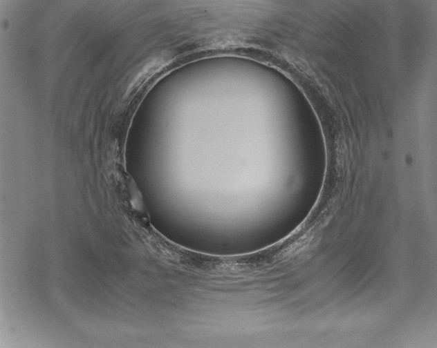 X0000069391265200605150934