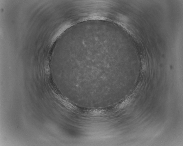 X0000069391266200605150934