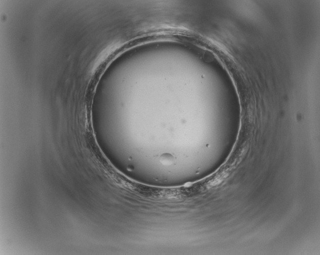 X0000069391267200605150934