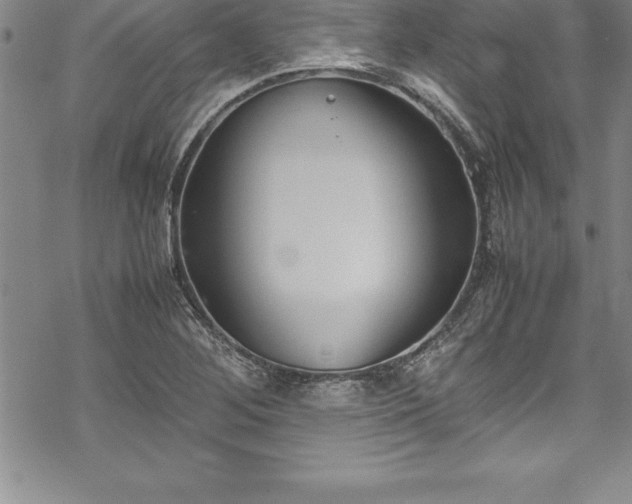 X0000069391268200605150934