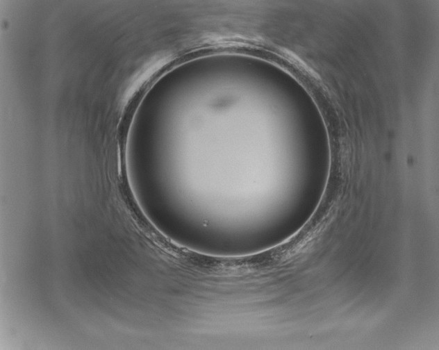 X0000069391269200605150934