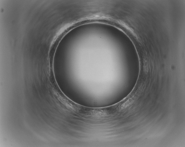 X0000069391270200605150934