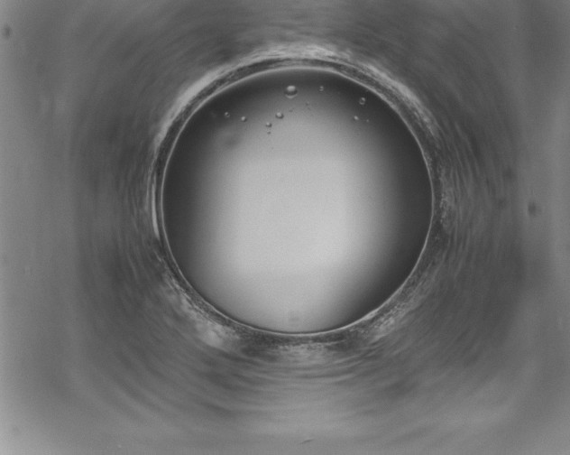 X0000069391272200605150934