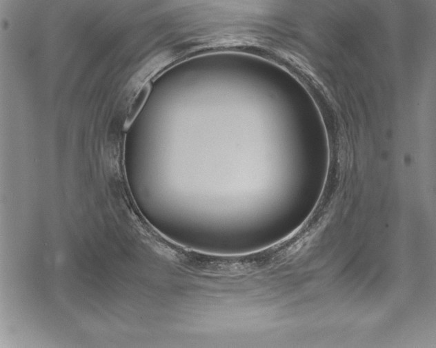 X0000069391273200605150934