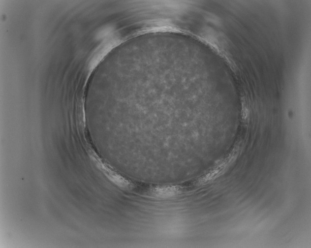 X0000069391274200605150934