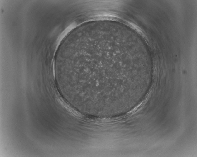 X0000069391275200605150934