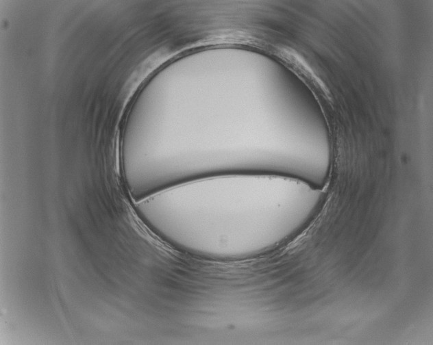 X0000069391276200605150934