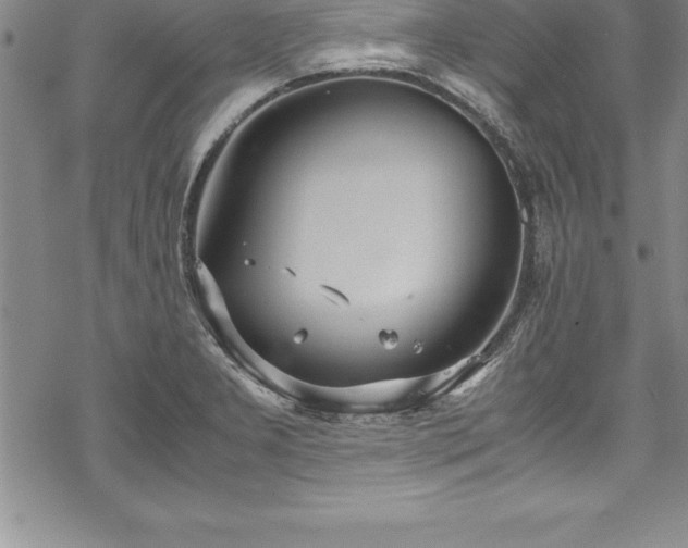 X0000069391277200605150934