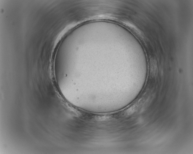 X0000069391278200605150934