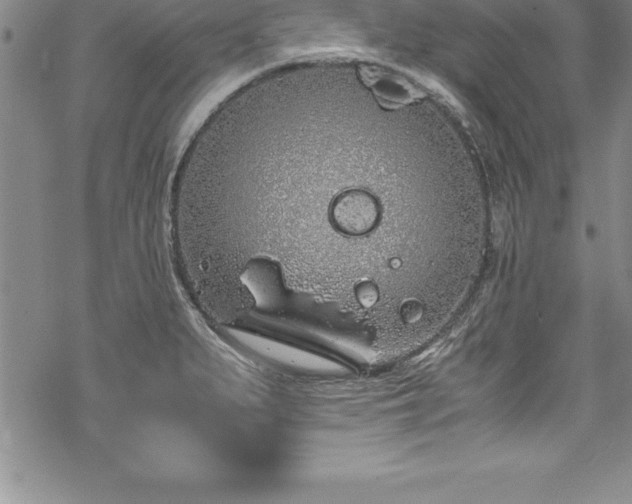 X0000069391279200605150934