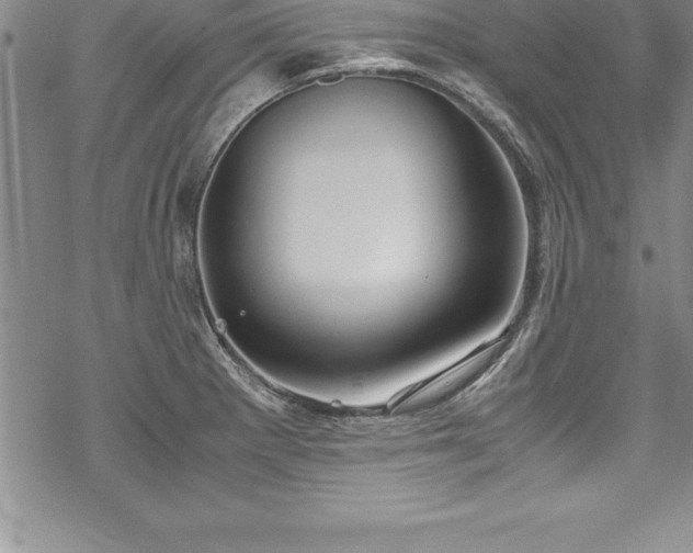 X0000069391281200605150934