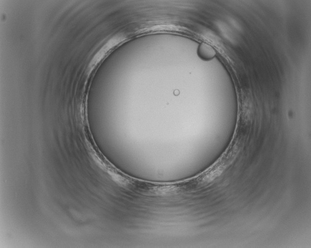 X0000069391282200605150934