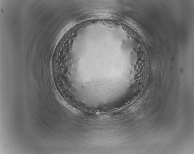 X0000069391283200605150934