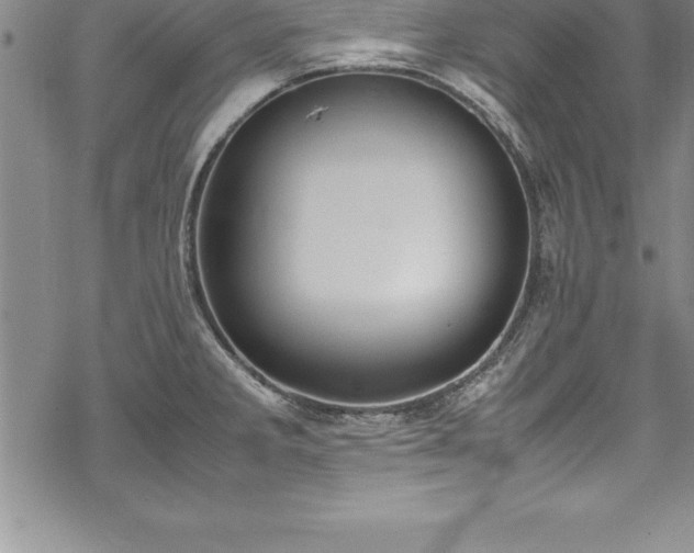 X0000069391285200605150934