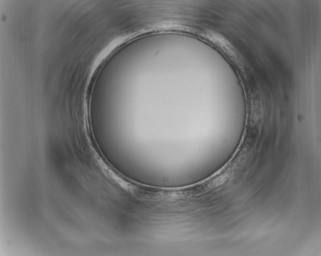 X0000069391286200605150934